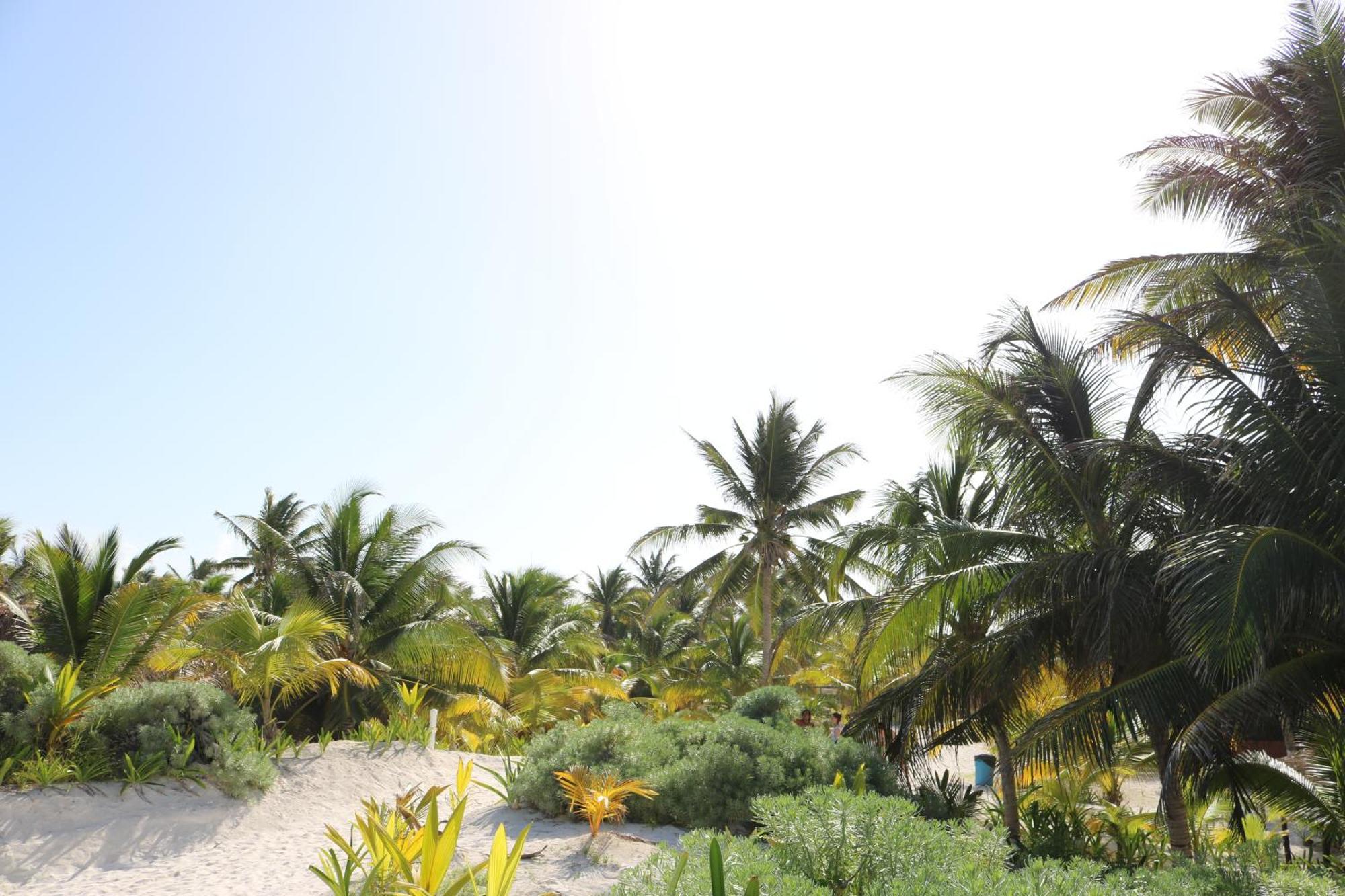 Hotel&Cabañas Zazil Kin Tulum Exterior foto